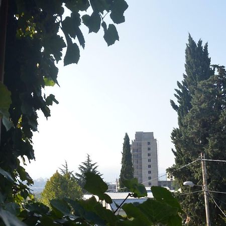 Alex'S Cosy Guesthouse Tbilisi Exterior foto